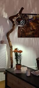 IMG_20250508_115852
