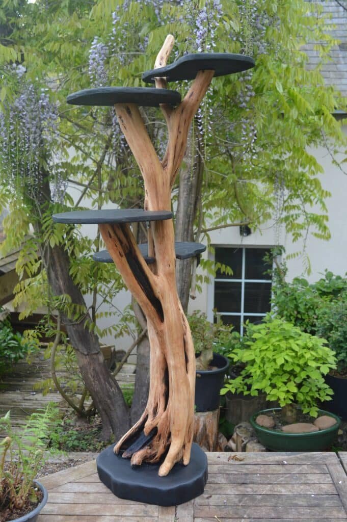 genévrier présentoir porte plantes