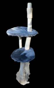 arbre à chats bois naturel flotté